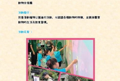 imgi_14_2023-24-幼稚園活動津貼運用計劃-學習活動-學習活動天地中_page-0010