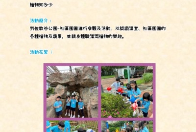 imgi_15_2023-24-幼稚園活動津貼運用計劃-學習活動-學習活動天地中_page-0011